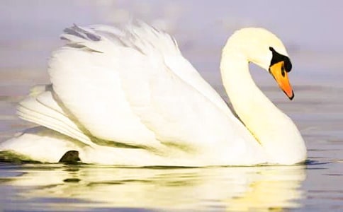 ���������Z������100��