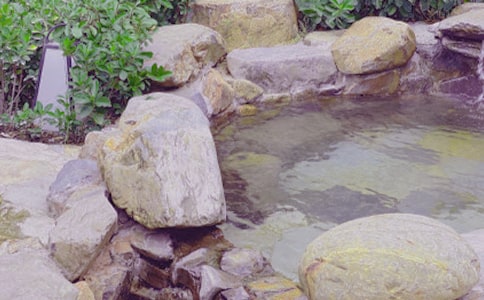 �`���Ȫ500������