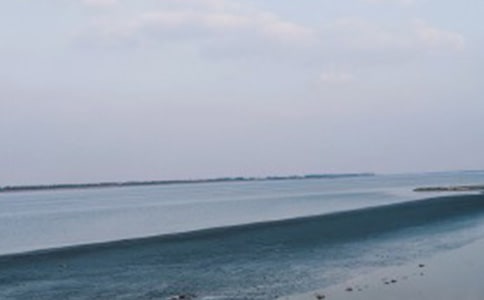 我們看海去作文500字