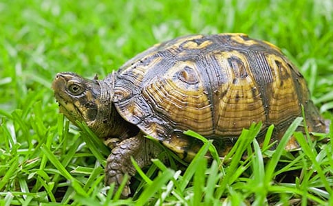 �茑(xi��)�ɐ�(��i)�Ğ���������ƪ