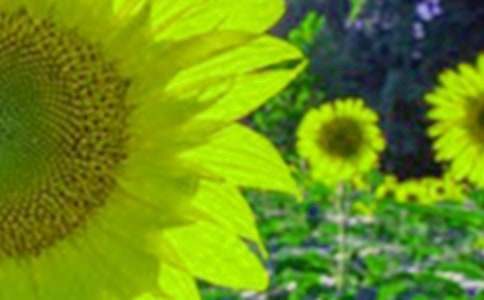 ���տ�,�ҵ��������