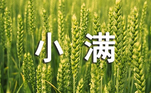 初一學(xué)生小滿節(jié)氣習(xí)俗的優(yōu)秀作文