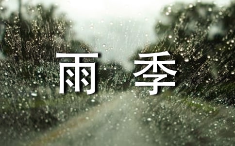 淡淡的雨季抒情作文