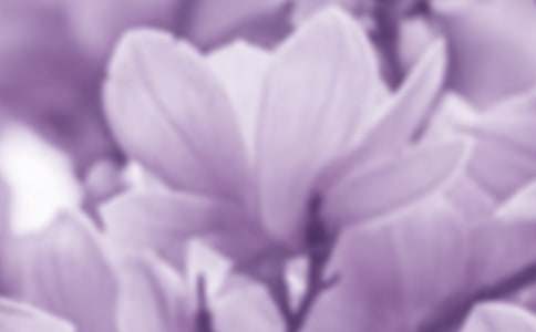 �P(gu��n)�����m���^������