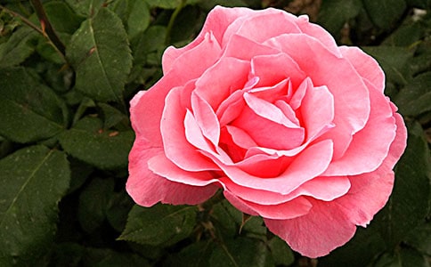 һ�����_�����¼�����600��