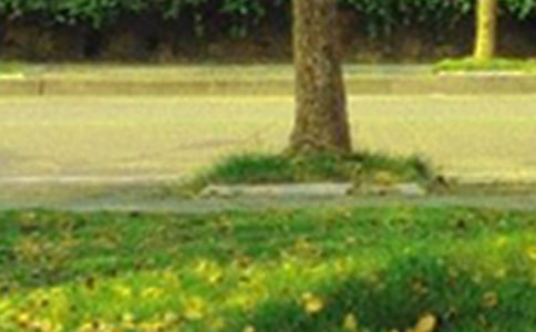 �簲�����峿���Z