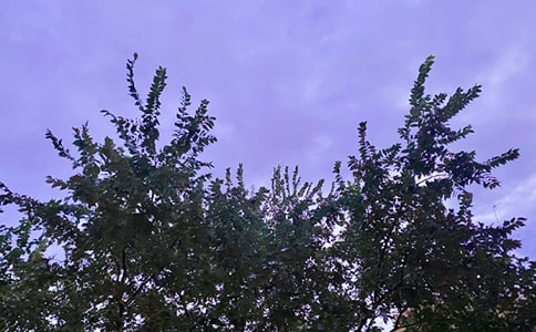 最新治愈早安寄語匯總(精選60句)