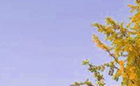 有關(guān)正能量早安寄語大全145句