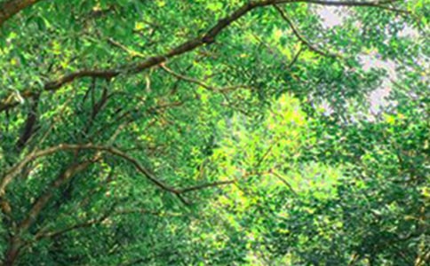 ���P(gu��n)�����簲���Z��ȫ185�侫�x