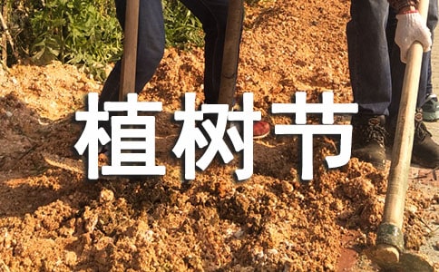 2017��ֲ�九(ji��)�ĸ�������500��