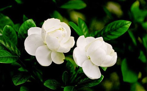 �ְ��I����������