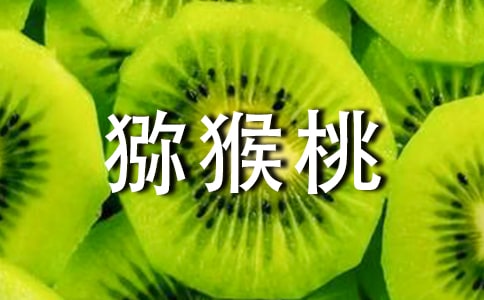 紅心獼猴桃優(yōu)秀作文400字(通用35篇)