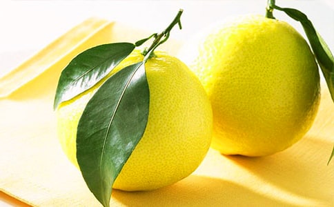 柚子的懷念優(yōu)秀作文