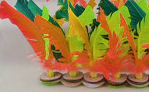 毽球高手寫人的作文700字