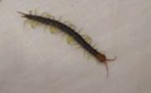 ������������500�֣�ͨ��30ƪ��