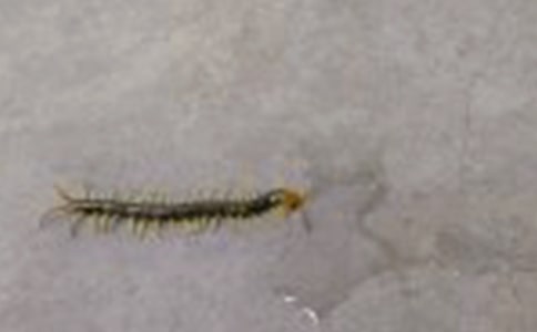 �i���������i�Z