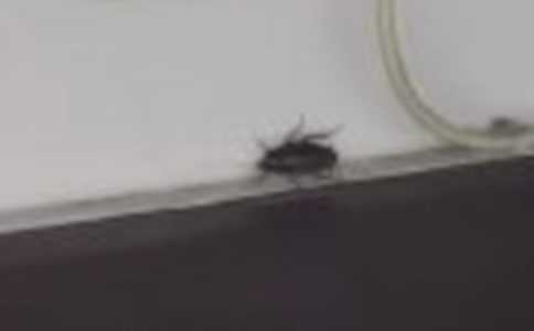 �������600��7ƪ