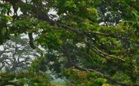 ���ϼ����ח�������9ƪ