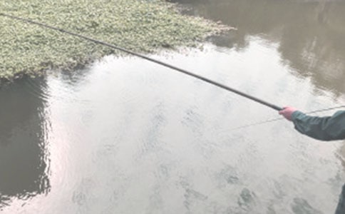 關(guān)于寫(xiě)釣魚(yú)作文9篇