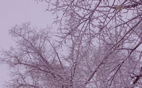 ���x���յ����ĺϼ�10ƪ