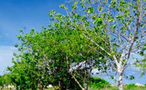 �����x�����ص��L����������ƪ