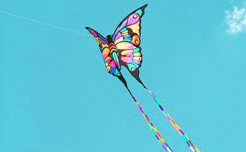 放風(fēng)箏作文集錦10篇