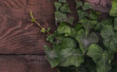 �����C����Ԓ�}����(����15ƪ)