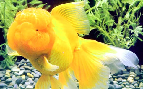 ���꼉(j��)���~(y��)����300�ּ���7ƪ