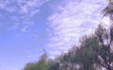 �����x����ɫ������400����ƪ