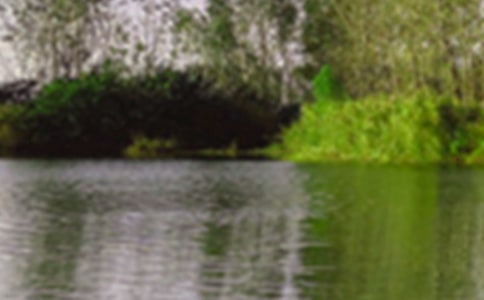 ���x��ԭ�ľ�ɫ������ƪ