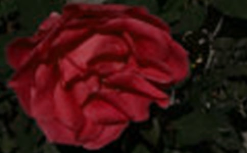 ���؂䡿õ�������300����ƪ