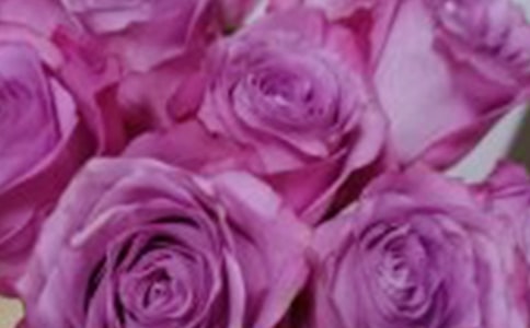 õ������ģ�ͨ��52ƪ��