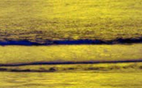 �l(xi��ng)����������