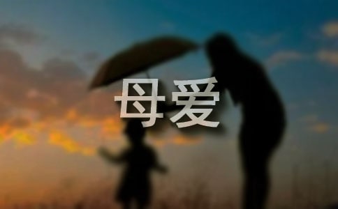 母愛的作文400字合集5篇