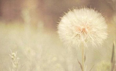 ���h(yu��n)���ѹ�Ӣ����2ƪ