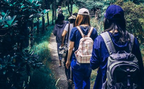 ͬ�W(xu��)������300��3ƪ