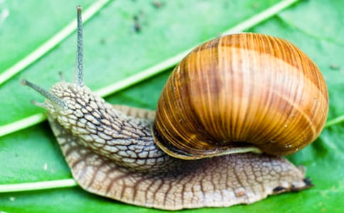 ���΁ţ�ǵĹ���