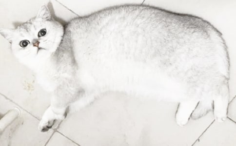 �P(gu��n)��С؈?zh��)Ԛ����?00���\��5ƪ